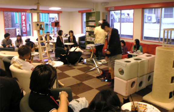 tokyo calico cat cafe