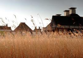 suffolk